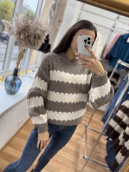 Adīts divukrāsu džemperis.