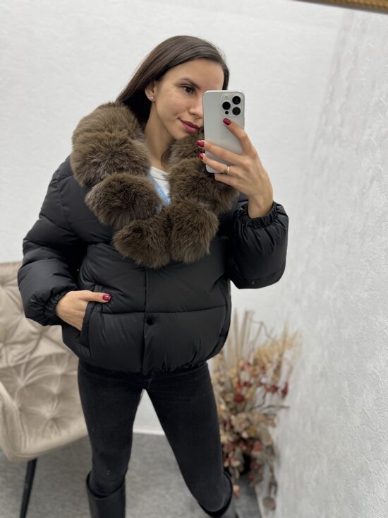 Pufaika ar skaistu apkakli.